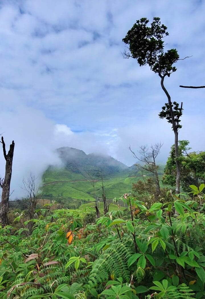 WhatsApp Image 2025 06 06 at 18.35.24 1 e1749288269432