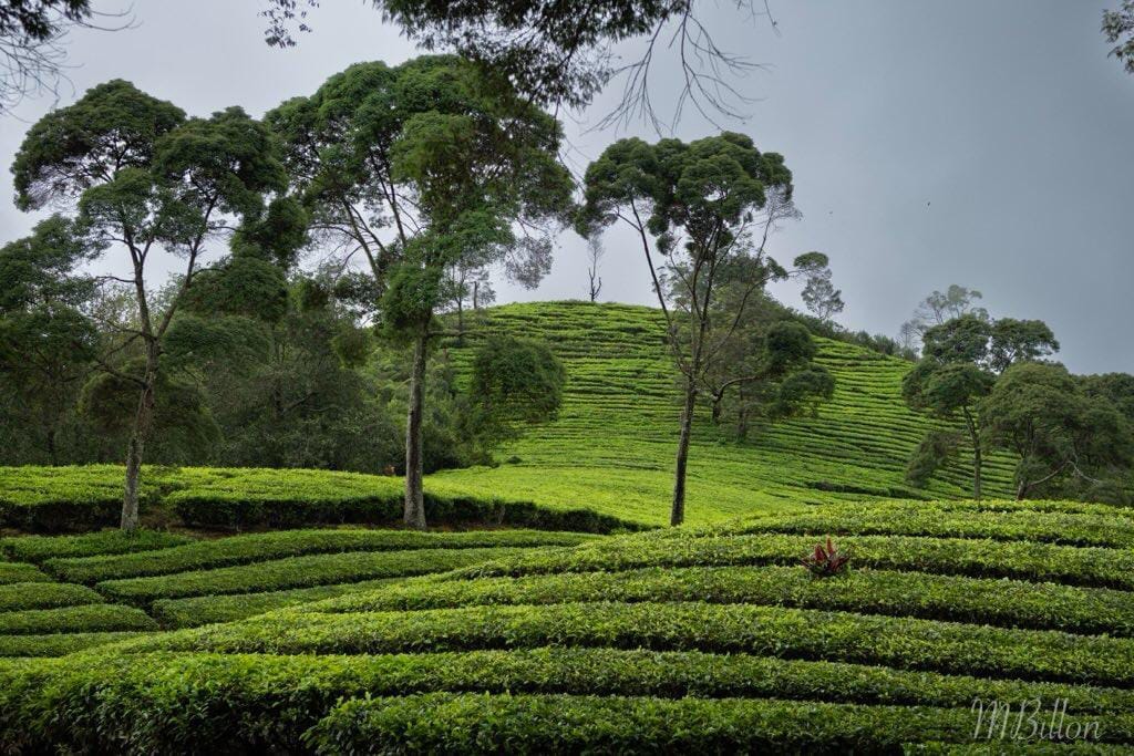 WhatsApp Image 2025 06 06 at 18.35.27 1