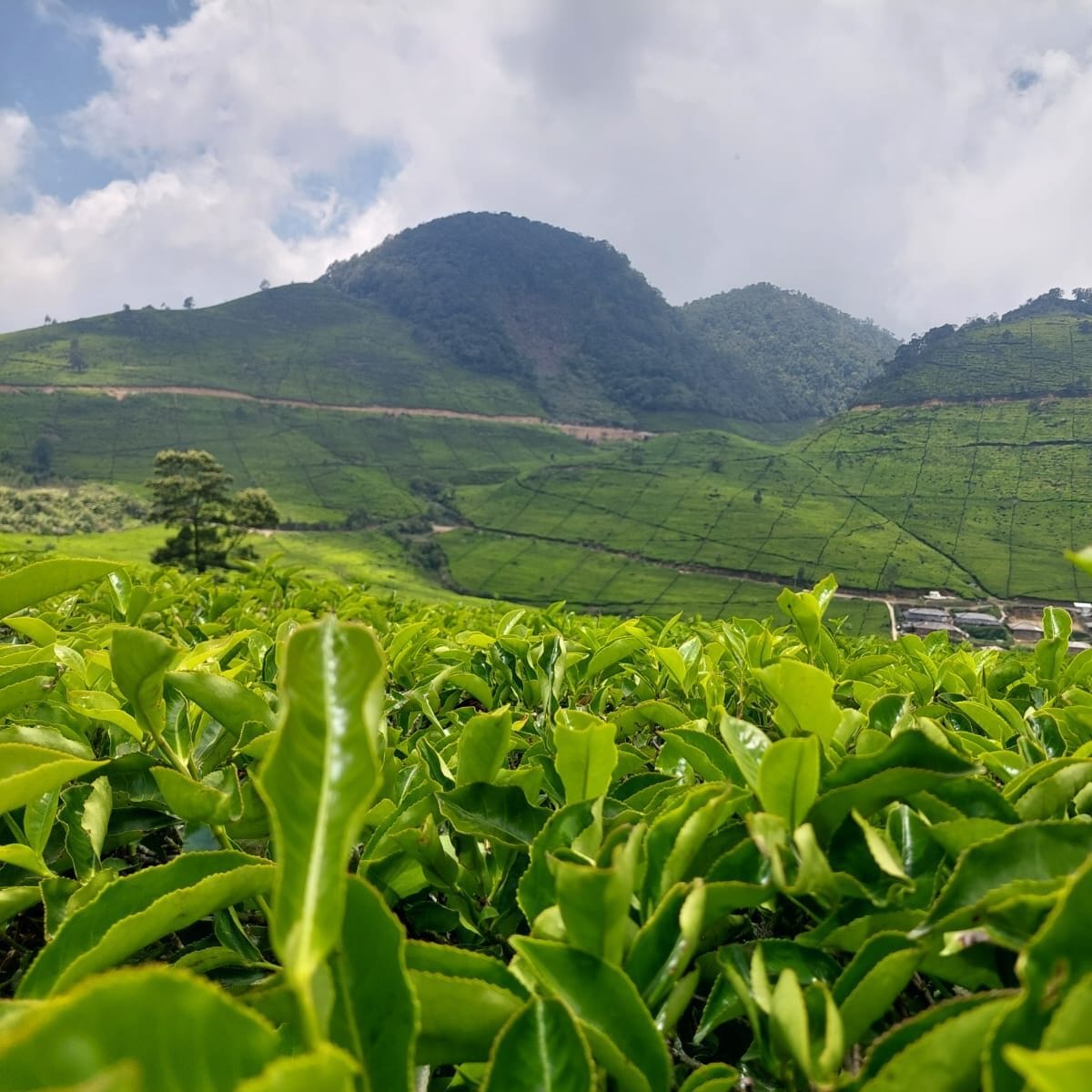 WhatsApp Image 2025 05 18 at 15.56.02 2 e1749111370283