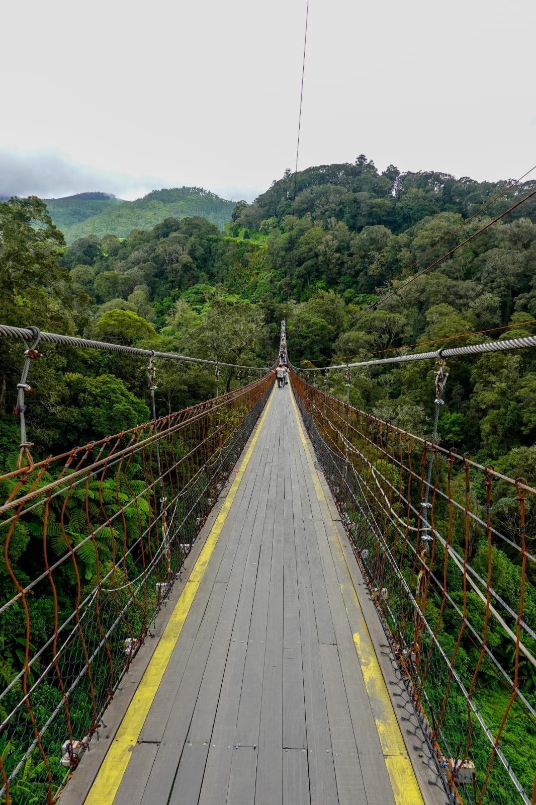 WhatsApp Image 2025 05 18 at 16.49.10